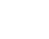 Home 39 icon pet 1